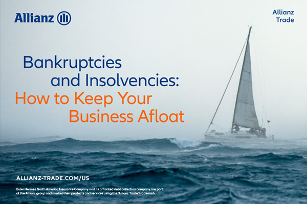 A Surge in Bankruptcies eBook